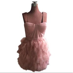 Tube Top Feather Blush Dress
